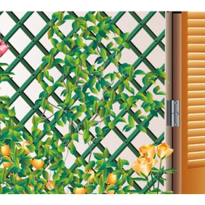 CELOSIA JARD 1X2MT TRELLIFLEX