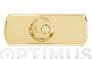 ESCUDO CILINDRO RHZS 524 70X18