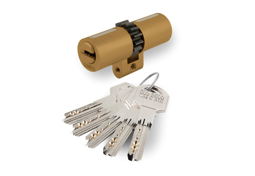 CILINDRO SEG. SUIZO 33-33 LT.