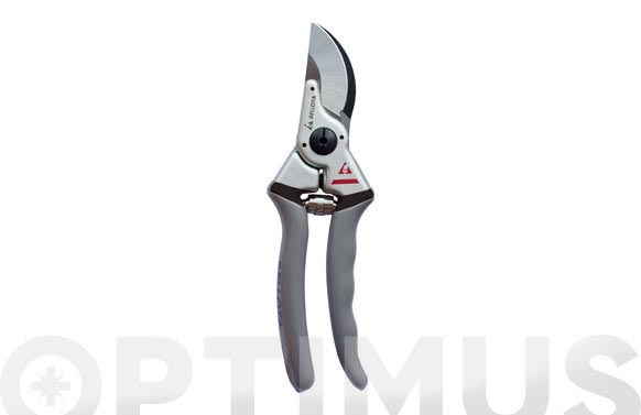 TIJERA PODAR 21CM 1 UD