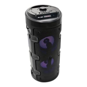 KARAOKE 10W SD+USB+FM MICROFON