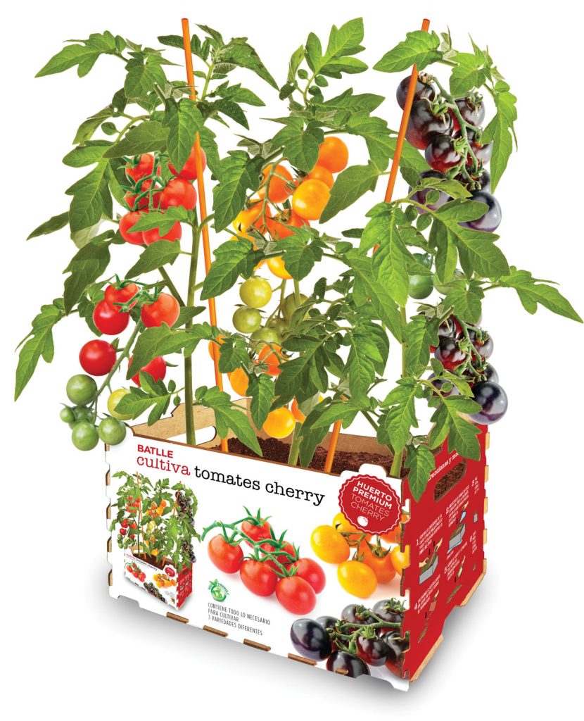 HUERTO URBANO TOMATE CHERRY BA