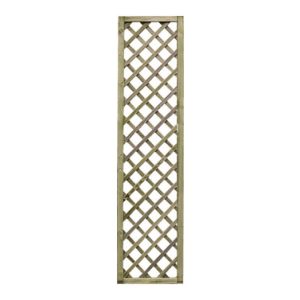 CELOSIA MADERA PREMICES CON MA