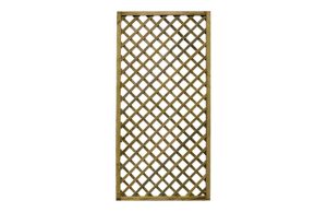 CELOSIA MADERA PREMICES CON MA