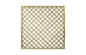 CELOSIA MADERA PREMICES CON MA