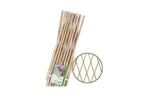 CELOSIA EXTENSIBLE BAMBU 120 X