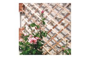 CELOSÍA EXTENSIBLE MADERA TREL