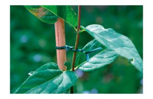 ALAMBRE JARDIN ALMA VERD 25 M