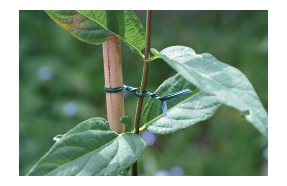 ALAMBRE ATA JARDIN ALMA VERD N