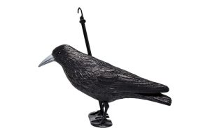 CUERVO ESPANTAPAJ. 33X20X12 CM