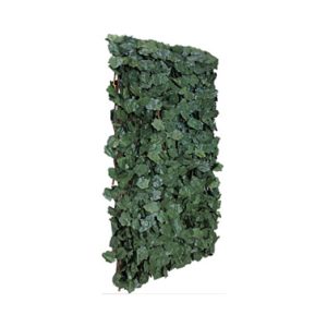 CELOSIA EXTENSIBLE MIMBRE HIED