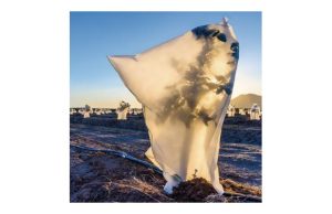 CAPUCHA PROTECC. PLANTA 17 GR