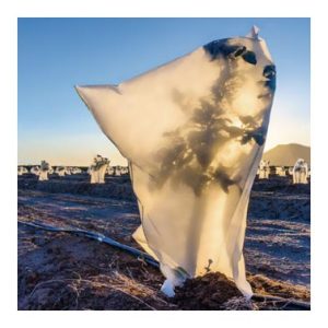 CAPUCHA PROTECC. PLANTA 17 GR