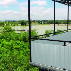 CAÑIZO PVC D.CARA 16 MM 1,5X3M