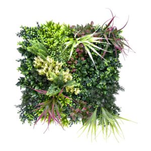 JARDIN VERTICAL BELICE A 50 X