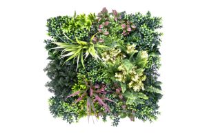 JARDIN VERTICAL BELICE B 50 X