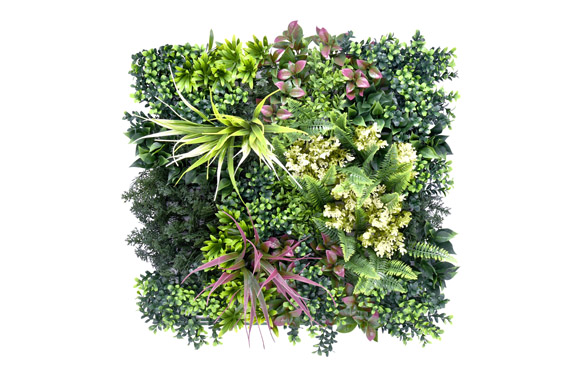 JARDIN VERTICAL BELICE B 50 X