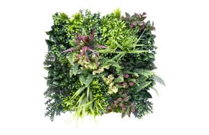 JARDIN VERTICAL BELICE C 50 X