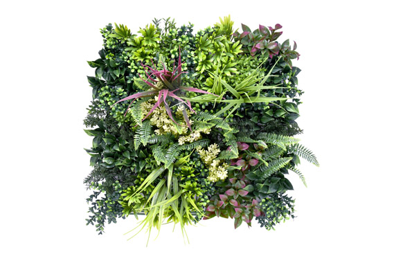 JARDIN VERTICAL BELICE C 50 X