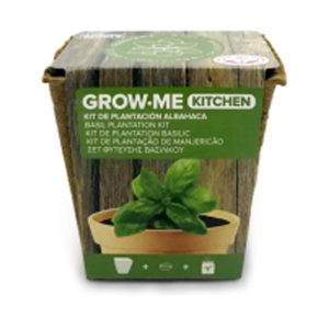 SEMILLAS ALBAHACA ANCHA 1 GR G