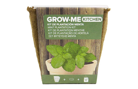 SEMILLAS MENTA PEPERITA 0,1 GR