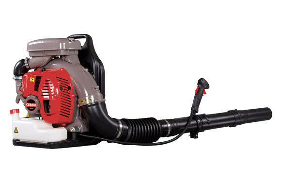 SOPLADOR DE MOCHILA CAMPEON 3