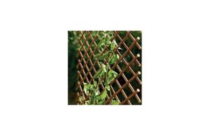 CELOSIA EXTENSIBLE MIMBRE 1X2