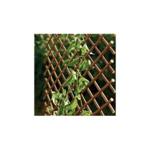 CELOSIA EXTENSIBLE MIMBRE 1X2