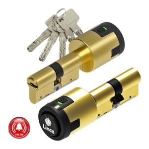 CILINDRO LEV.LG C/ALARMA 30X30