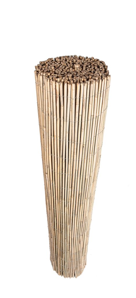 CAÑIZO BAMBU ENTERO NACIONAL 0