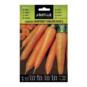 SEMILLAS ZANAHORIA CHANTENAY