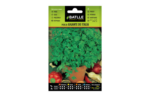 SEMILLAS PEREJIL GIGANTE AROMA