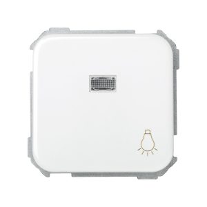 PULSADOR LUZ CON LUMINOSO BLAN