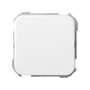 PLACA CIEGA BLANCO S31