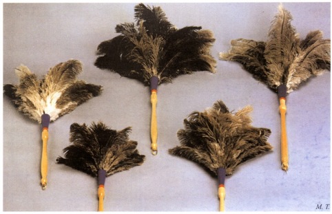 PLUMERO LIMP M/MAD 23CM RAFAEL