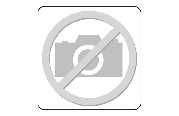 DISCO LÁMINAS CONICO 115MM GR0