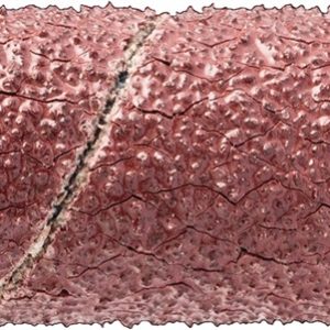 MANGUITO ABRASIVO MET 10X20MM