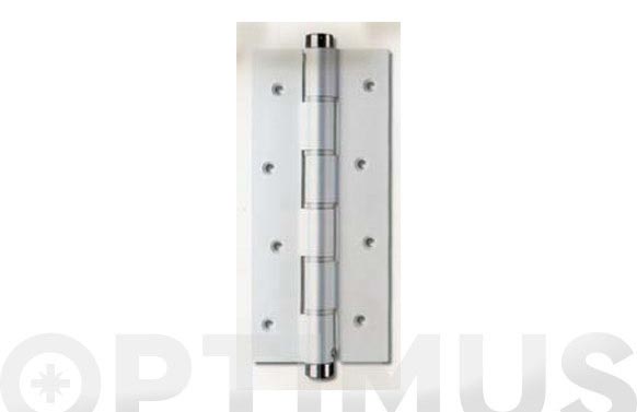 BISAGRA S/ACC 180MM INOX 2 PZ