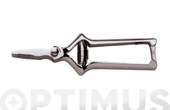 MASTICADOR COC CARNE 7″ 00431