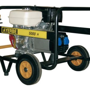 GENERADOR GAS. 9 CV 5KVA AYERB