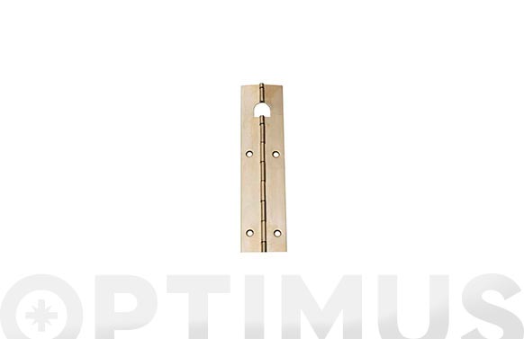 BISAGRA PIANO 32X480MM LATON 3