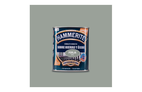 ESMALTE ANTIOXI. GRIS 5093227