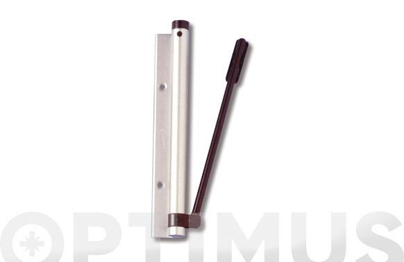 CIERRAPUERTAS 5613 PLA