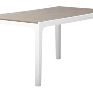 MESA RESINA 160X90CM HARMONY 2